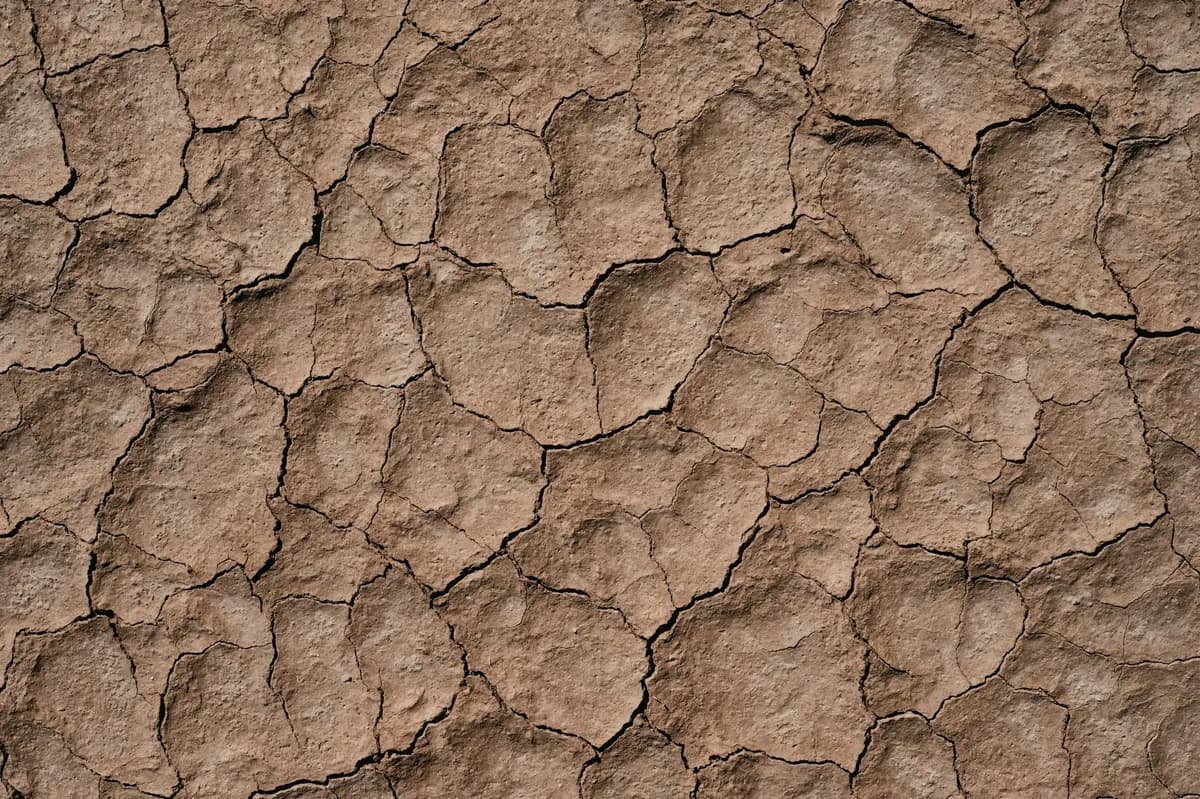 Dryness — health symptom