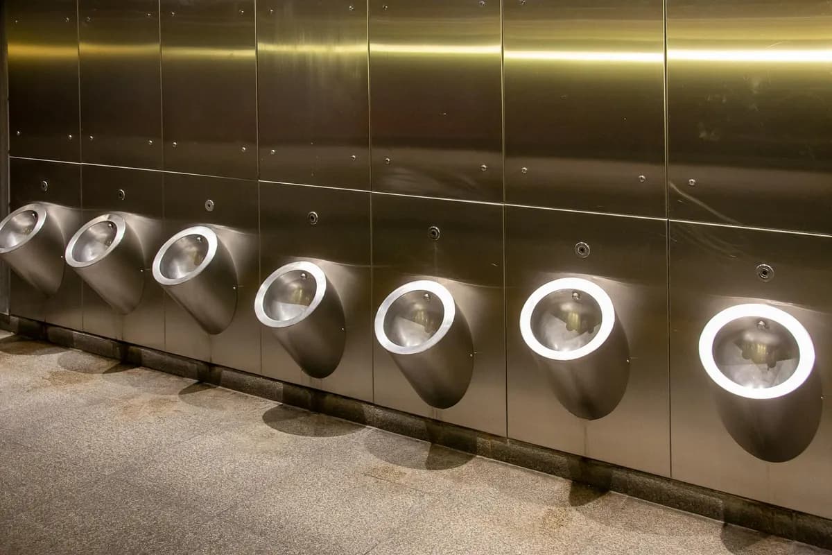 Frequent Urination — health symptom