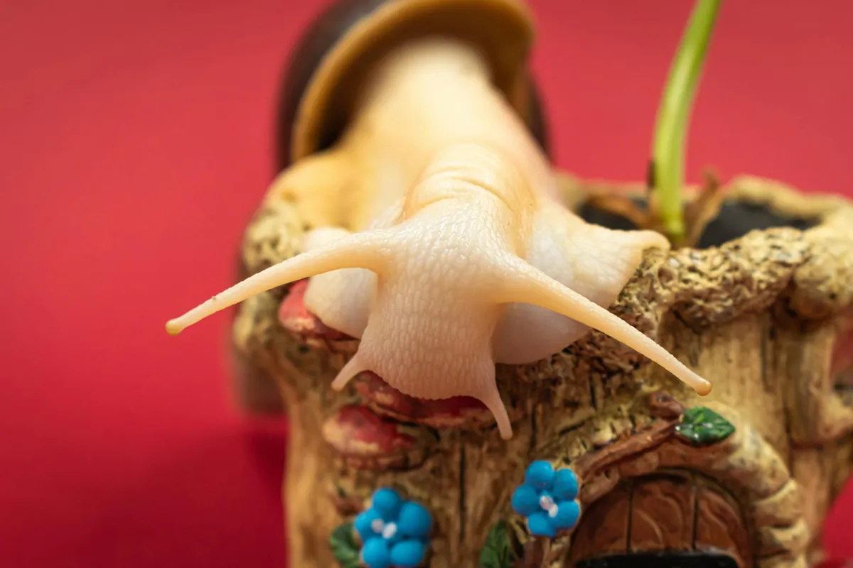 Persistent Sluggishness — health symptom
