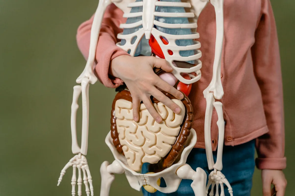 Rib Cage Protrusion — health symptom