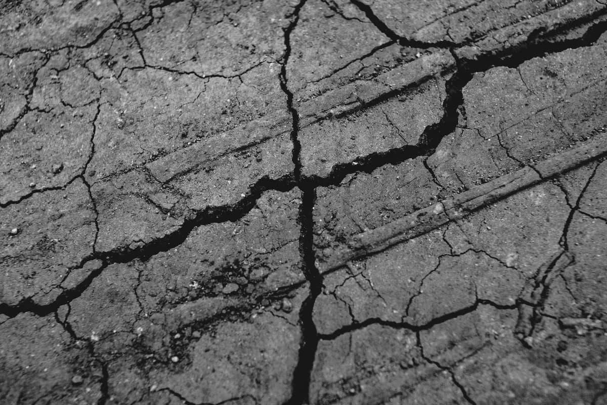 Rigidity — health symptom