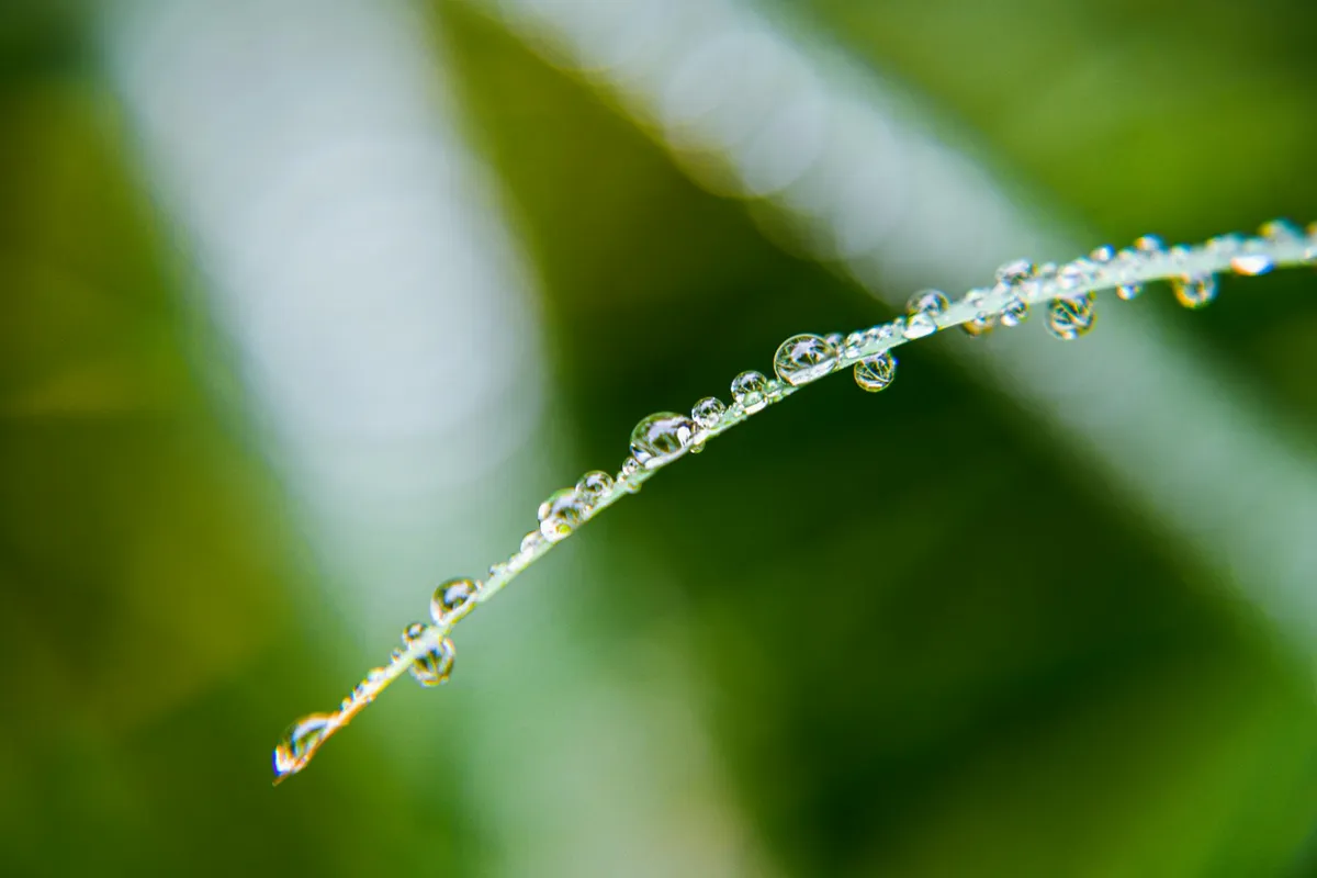 Thinness — health symptom