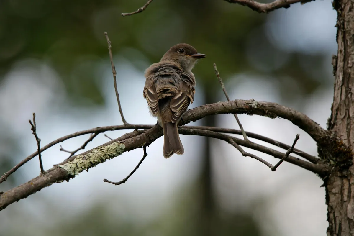 Twitching — health symptom